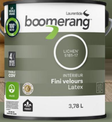 Paint, Interior, Latex, Boomerang, LICHEN, Velvet Finish, 3.78 liter