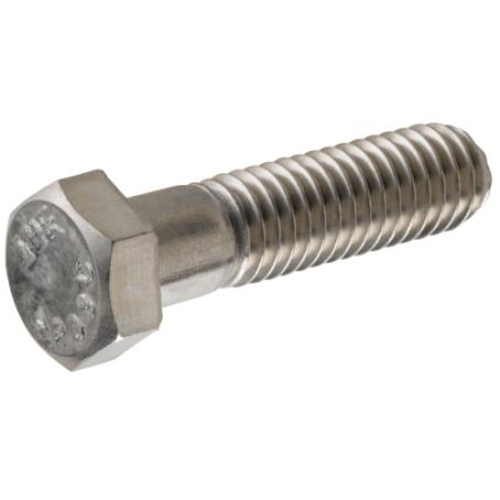 Hex Cap Screw, Stainless Steel, 1/4