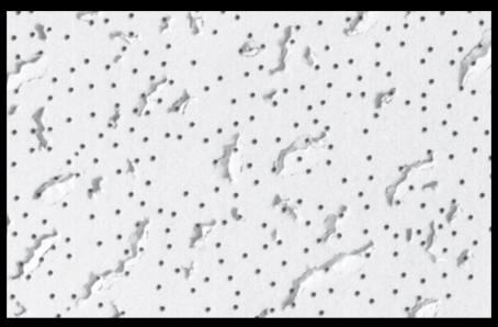 Ceiling Tile, #671 FIFTH AVENUE, FIRECODE, Square-Edge, 64 sq ft/ctn (Special Order)